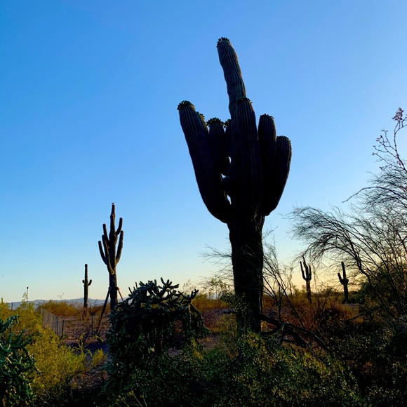 Welcome to my shop ✨ - Picture 8 of 8